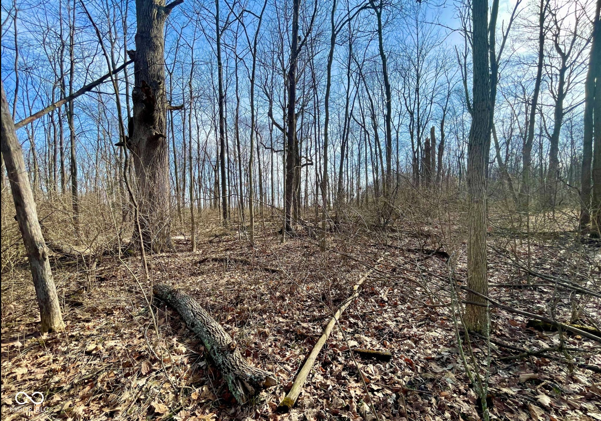 Image of 8112 W County Road 1000 N