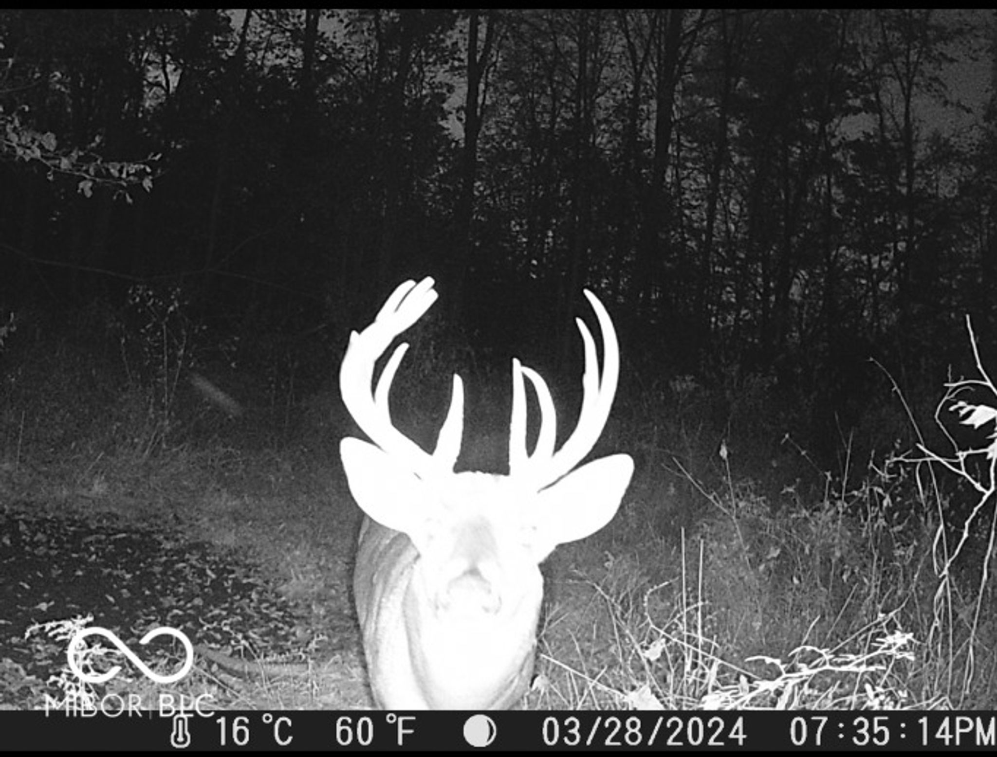 Image of 8112 W County Road 1000 N