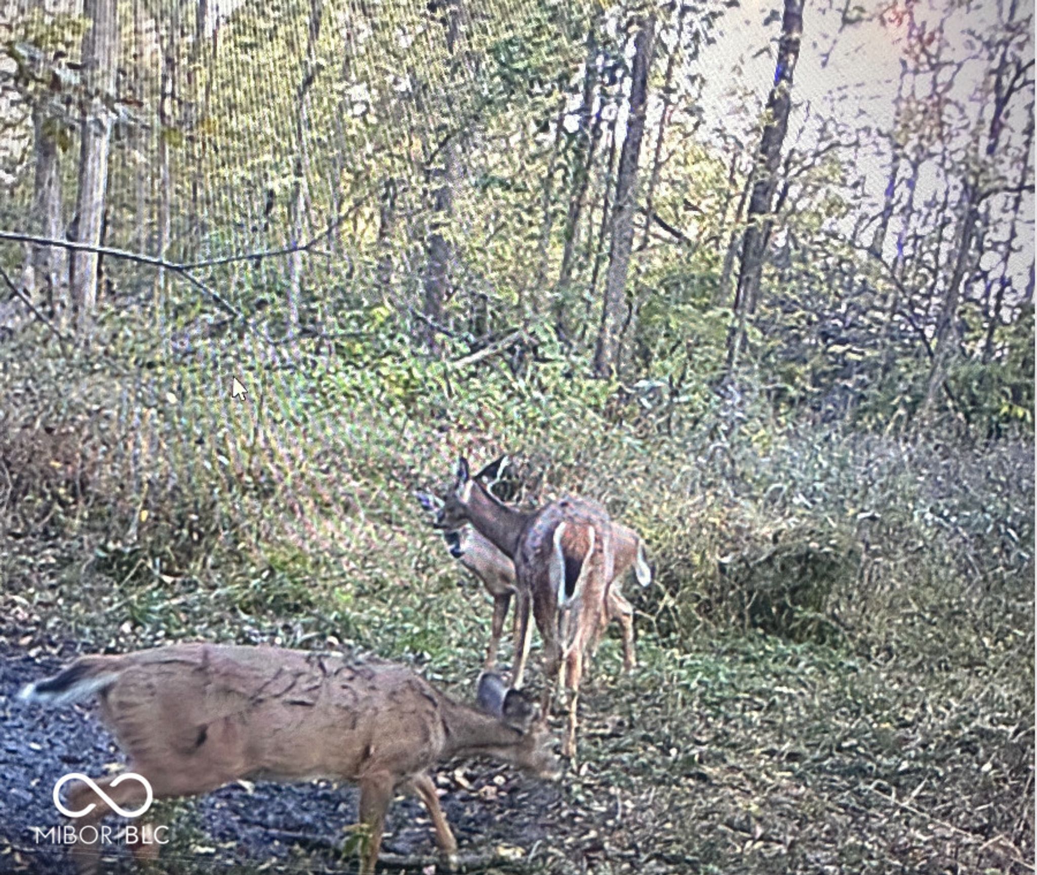 Image of 8112 W County Road 1000 N