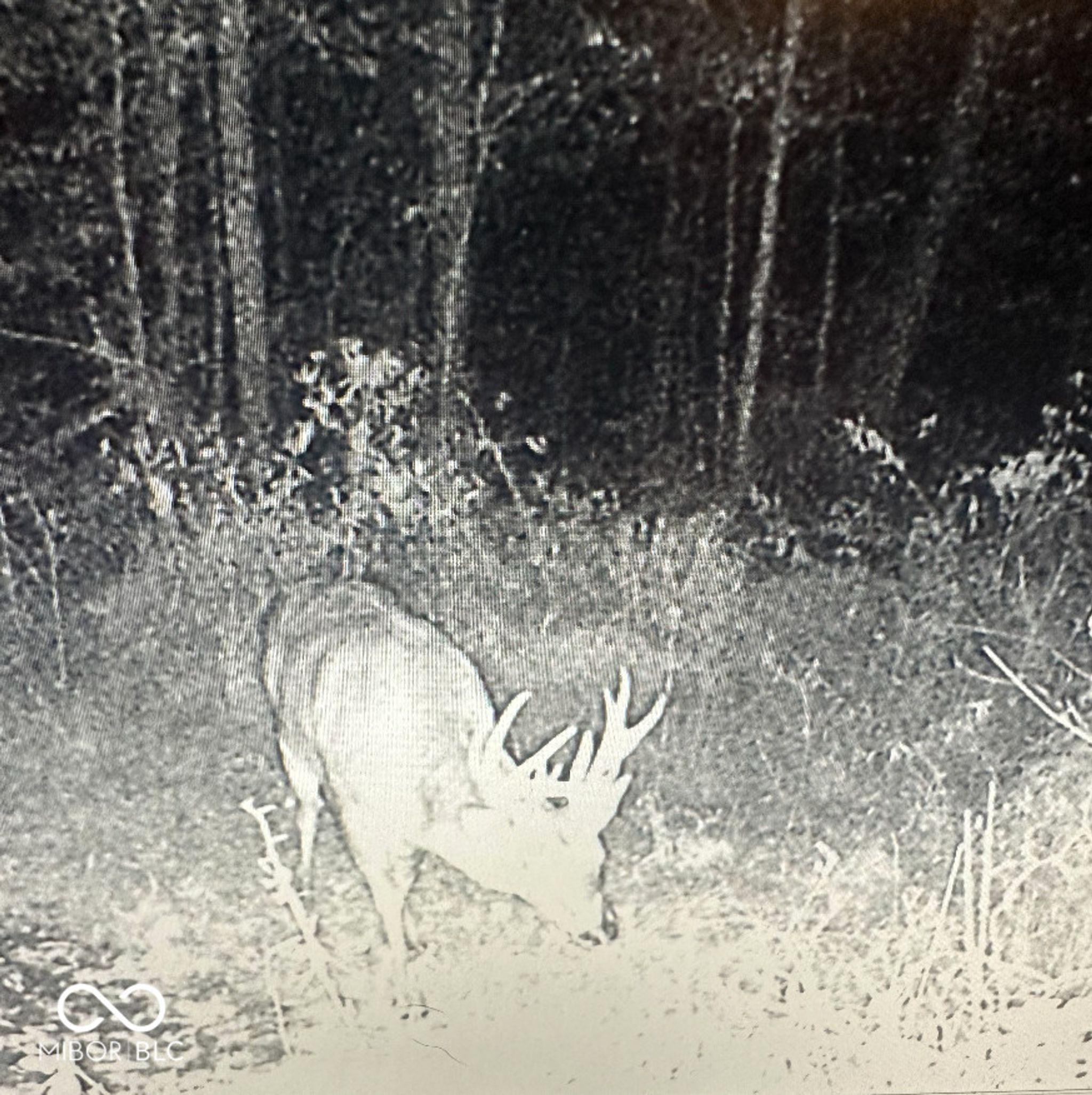 Image of 8112 W County Road 1000 N