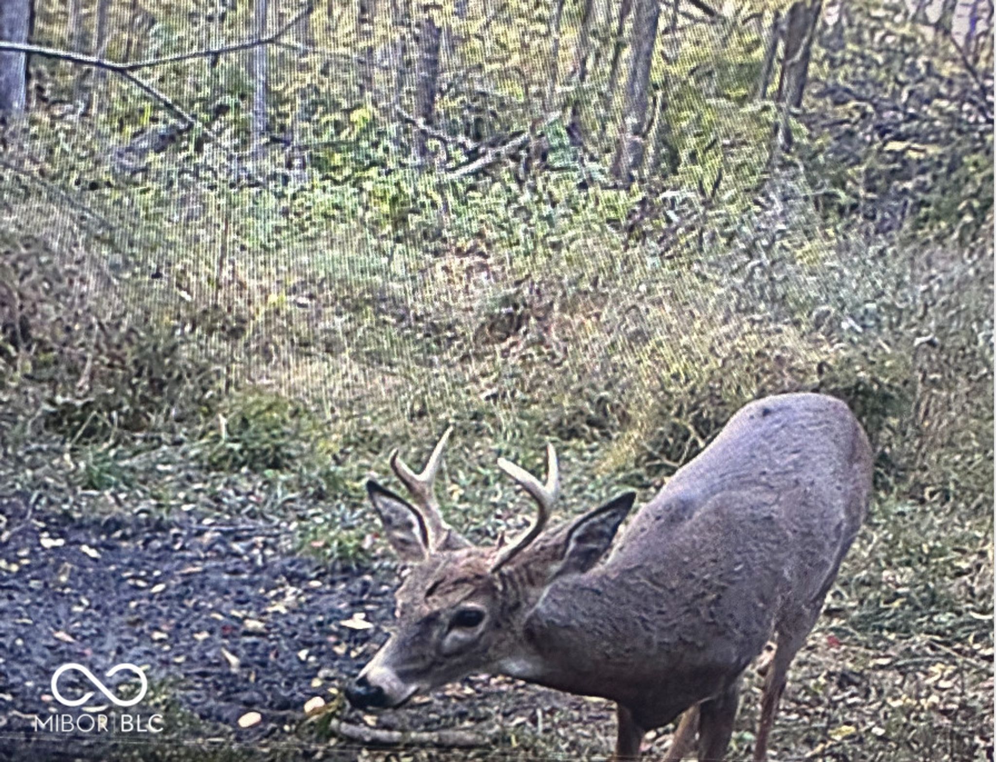 Image of 8112 W County Road 1000 N